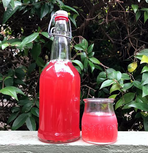 Naturally Fermented Hibiscus Soda Zero Waste Chef