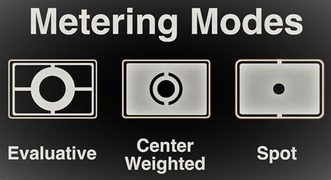 Exploring The Variety Of Meters In A Canon Camera Tamaggo