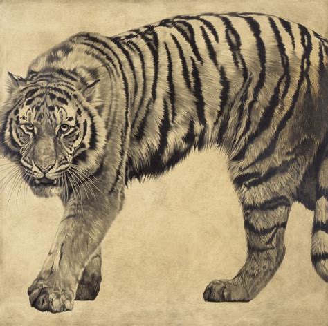 Siberian Tiger Ii Panthera Tigris Altaica 2008 100 X 100 Cm