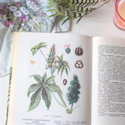 Vintage Illustrated Botanical Book 101 Illustrations Of Etsy