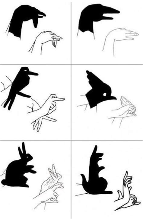 How To Make Simple Hand Shadows How To Instructions