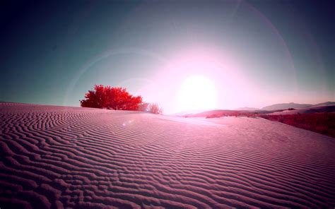Desert Flare Hd Nature 4k Wallpapers Images Backgrounds Photos And