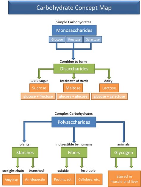 Biomolecules Classification Of Biomolecules Carbohydrates Proteins My
