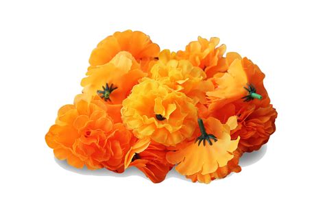 Mexican Marigold Flower Clip Art Marigold Png Transparent Image Png