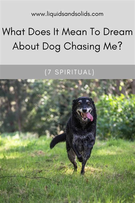 Dream About Dog Chasing Me 7 Spiritual Meanings