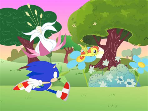 Sonic Running Through Breezie Blossom By 4 Chap On Deviantart