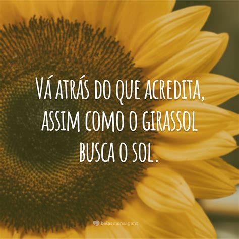 Frases Sobre O Girassol