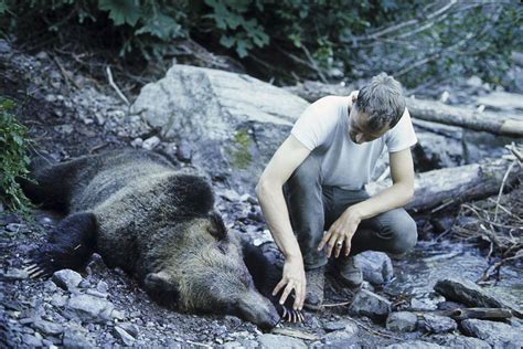 Night Of The Grizzlies 2 Deaths In Glacier National Park Led To