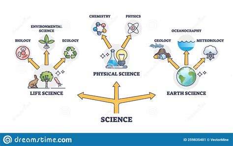 Life Physical And Earth Science Branches Division Network Outline