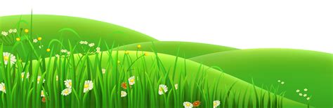 Transparent Flowers And Grass Clipart