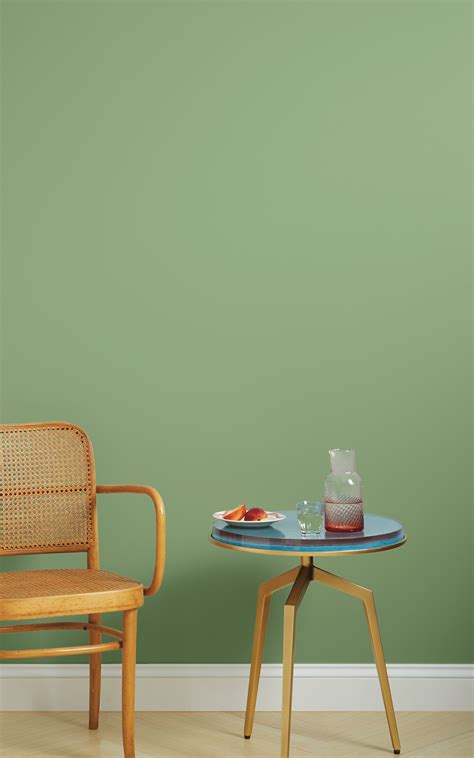 Https://tommynaija.com/paint Color/avocado Green Paint Color