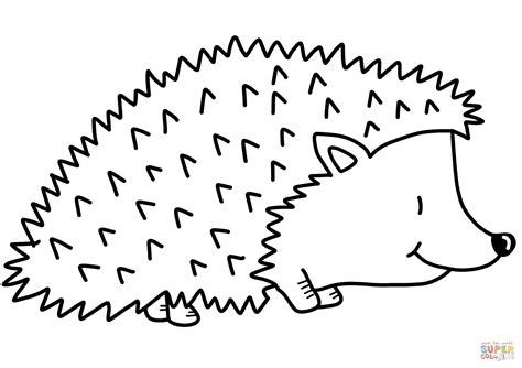 Cute Hedgehog Coloring Page Free Printable Coloring Pages