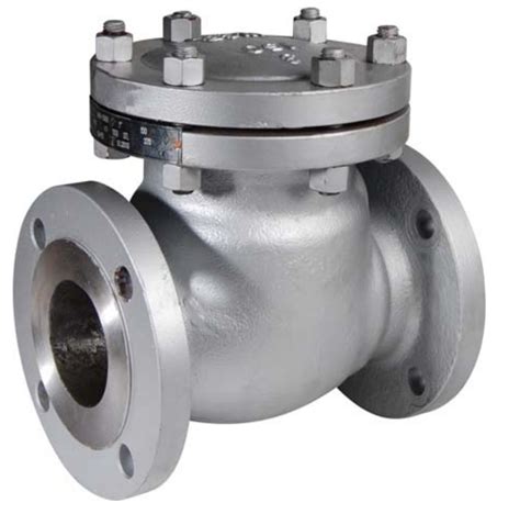 Atex Approved Carbon Steel Swing Check Valve With Flanged Ansi Ends Avs