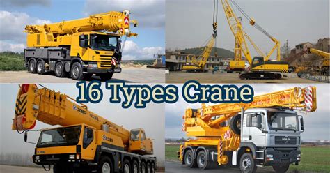 16 Types Of Crane That You Know With His Function Cranepedia