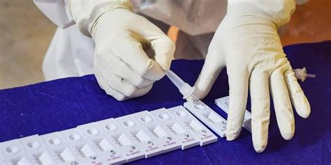 A selection of rapid antigen tests of which member states will mutually recognise the test results for public health measures. Over 20 prisoners in Rajkot Central Jail test positive for ...