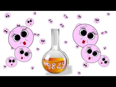 Maybe you would like to learn more about one of these? cell culture and growth media for Microbiology - YouTube