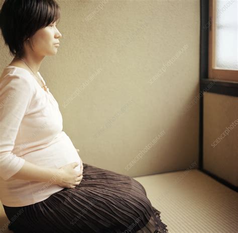 Pregnant Woman Stock Image M805 1091 Science Photo Library