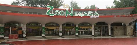 Look out for the sign as you go along the expressway (see entrance fees. Zoo Negara Malaysia Archives - GiantPandaGlobal.com