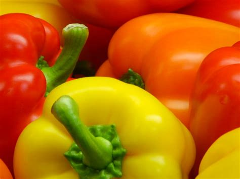 Windset Farms®Maestro® Bell Peppers - Windset Farms®
