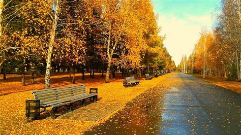 Sunny Autumn Day Park Leaves Bench Autumn Hd Wallpaper Peakpx