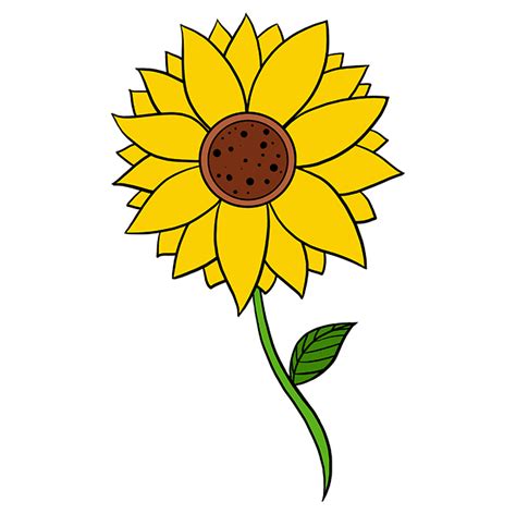 Cartoon Sunflower Drawings For Kids