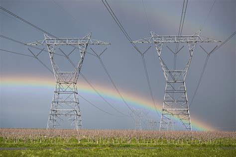 Want to Reduce Power Outages? Move Grids Underground, Says Energy Expert