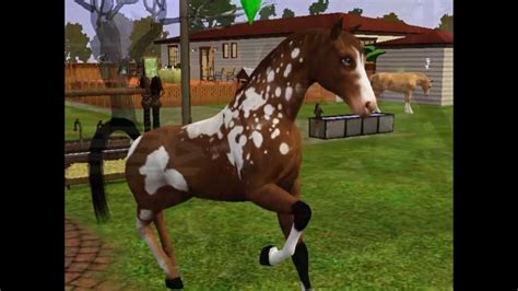 The Sims 3 Pets Horses Of Stardust Stables Youtube