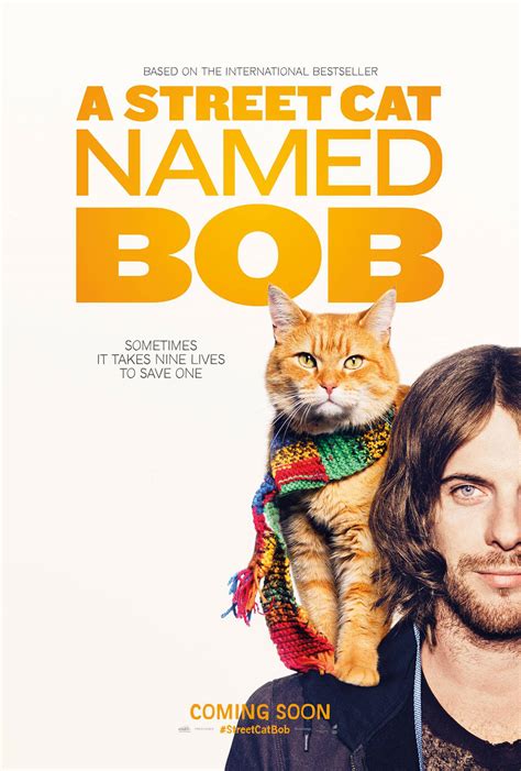 I also love cats, so i felt all the cuteness that this offers in that area. A Street Cat Named Bob - film 2016 - AlloCiné