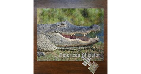 American Alligator Wildlife Photography Jigsaw Puzzle Zazzle