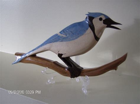 Intarsia Blue Jay By Dbourque ~ Woodworking Community