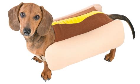 Freaky Findz Hot Dog Costume 985 Hot Dog