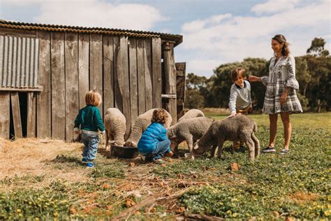 Farm And Chill 12 Best Farm Stays In Margaret River