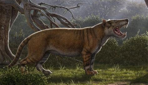 Fossils Of Prehistoric Beast Shed Light On Largest Ever Carnivorous