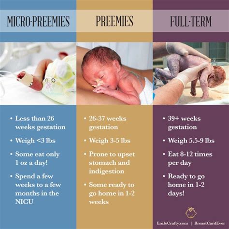 12 Facts About Micro Preemies Preemies And Full Term Babies Nicu