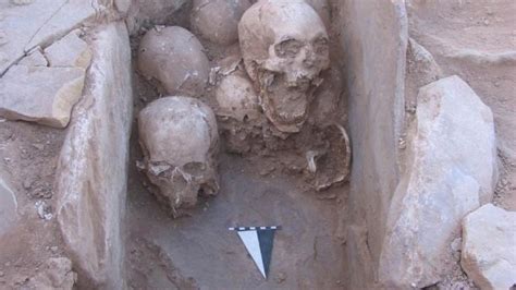 9000 Year Old Skeletons Found In Jordan Had Been Dismembered Sorted