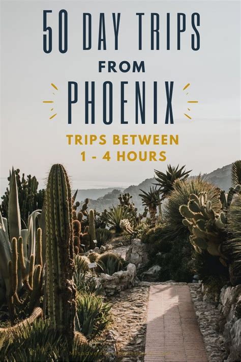 60 Best Day Trips From Phoenix Arizona Day Trips Day Trips Trip