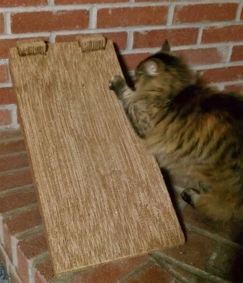 | scratchme cat scratching post lounge relaxing condo cat scratcher cardboard red. Handmade Cat Scratch Ramp Post DIY | Cool Stuff | Pinterest