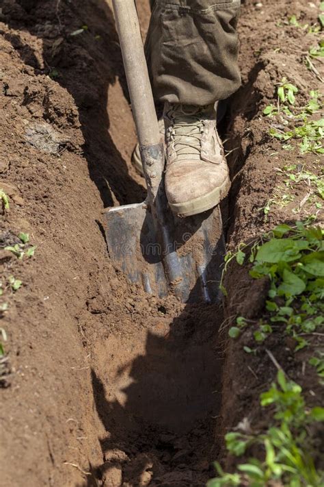 Man Digging A Trench In The Park Stock Image Image Of Laborer Active