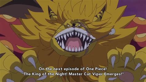 One Piece Master Cat Viper King Of The Night Emerges 【one Piece】