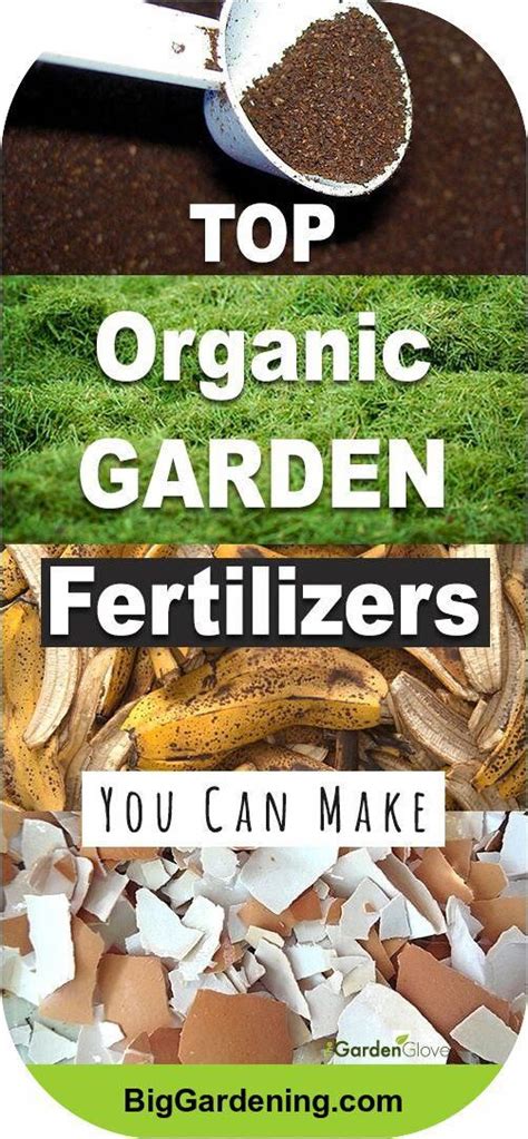Lawn grasses must grow vigorously to crowd out weeds and maintain a solid turf. Top Organic Garden Fertilizers You Can Make Wish To make ...