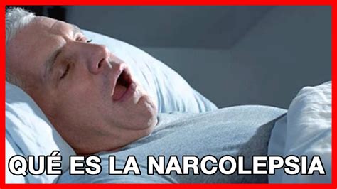 Signos Síntomas y Causas de la Narcolepsia Tratamiento Diagnostico