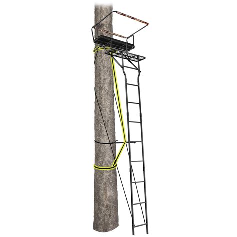 Rtls 503 Realtree 15 Air Strike Two Person Ladderstand Acheson