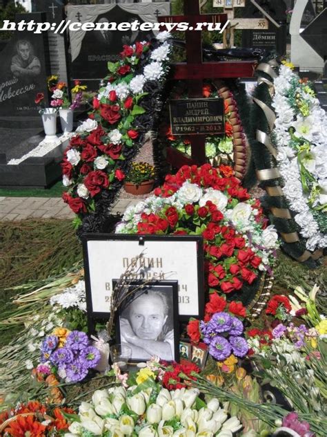 Является одним из главных персонажей. Могила Андрея Панина:фото могилы Андрея Панина