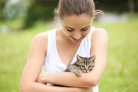 7 Important Tips For Adopting A Stray Cat