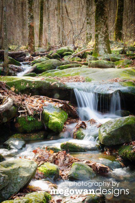 Tennessee Nature Photography Beautiful Forest The Great Outdoors