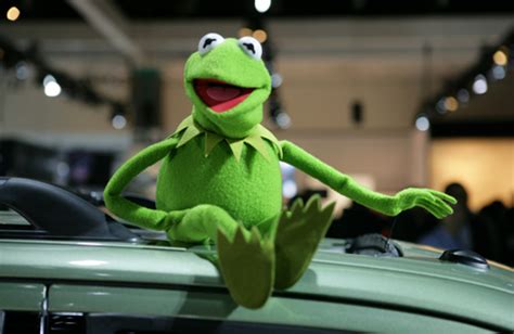 Kermit The Frog The Muppets Photo 121870 Fanpop
