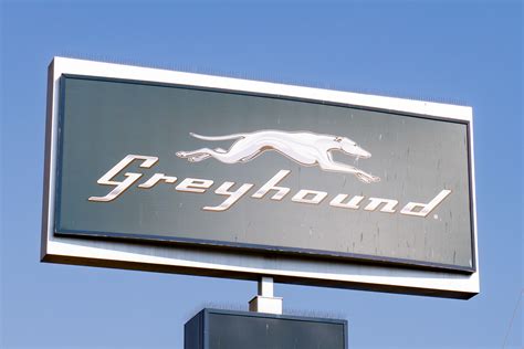 Shooting on Greyhound Bus Leaves One Dead, Several Others Injured
