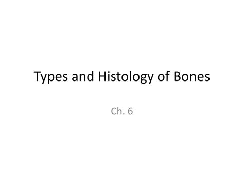 Ppt Types And Histology Of Bones Powerpoint Presentation Free