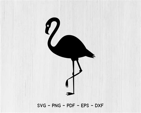 Flamingo Svg Flamingo Clipart Beach Svg Summer Svg Svg Etsy