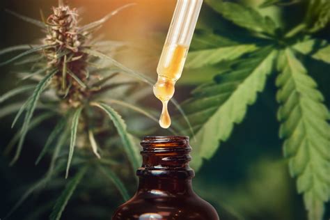 Understanding How Cannabidiol Can Be Good For Your Health Fooyoh